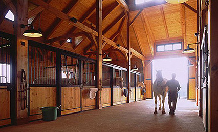inside stables