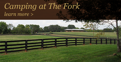 Camping at The Fork