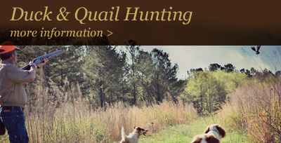Duck & Quail Hunting